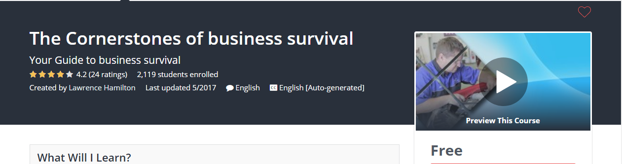 Course Cover For - The Cornerstones of business survival